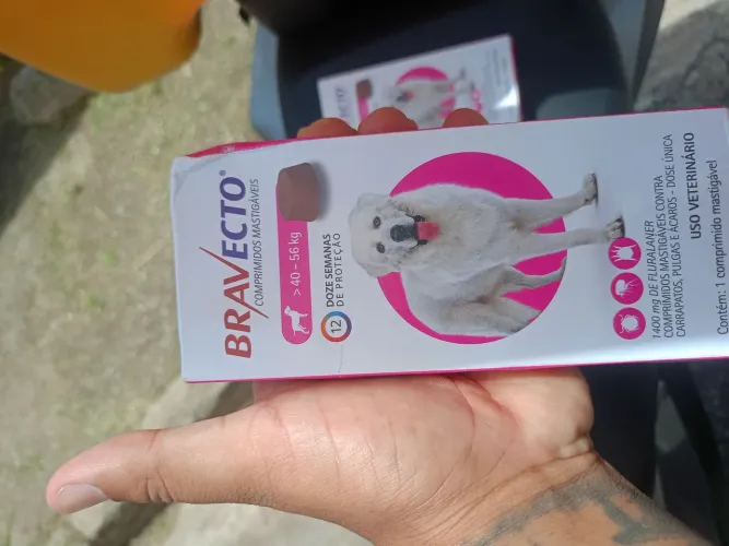 Bravecto 1.400 mg - 40 a 56 kg