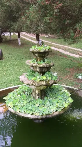 Sítios & Chácaras 5 dormitório(s) em Centro de Ouro Fino Paulista