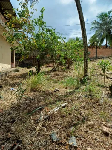 Terreno 528m² murado com casa para reforma em Paripe