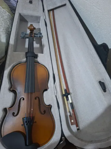 Violino