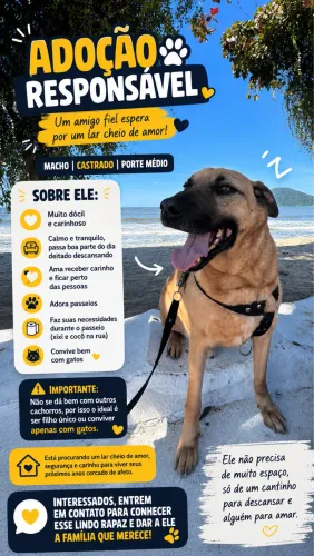Adoção responsável 
