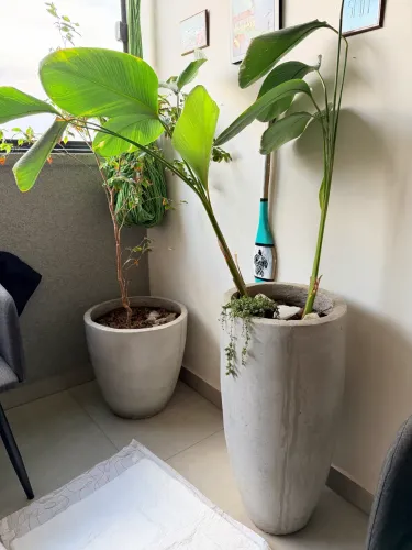 Dois vasos cinza queimado 