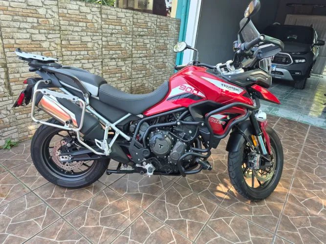 Tiger 900 GT PRO