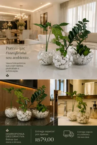 Plantas Ornamentais na Hidroponia