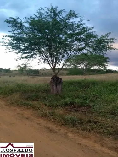 FAZENDA RURAL em Itaberaba - Bahia, Centro
