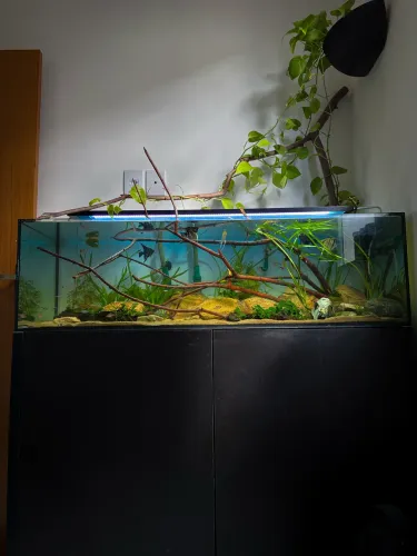 Vendo aquário completo 189L