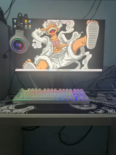 PC gamer