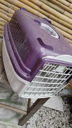 Casinha de pet 