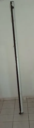 Telão gaya