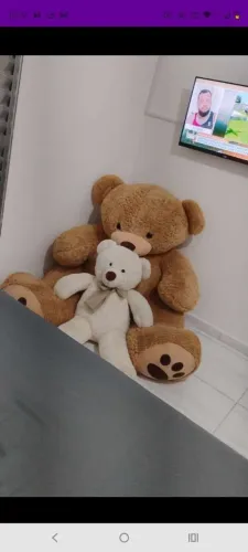 Desapego urso