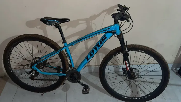 Bicicleta
