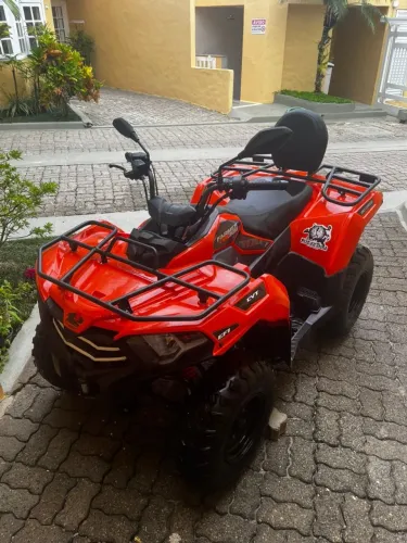 Quadriciclo FARMER300