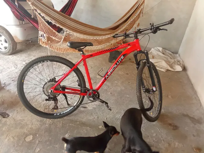 Bike aro 29
