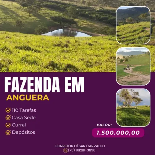 FAZENDA EM ANGUERA - 110 TAREFAS