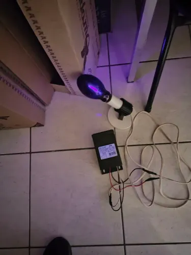 Luz negra, soquete e reator