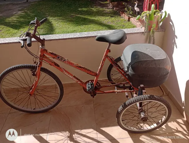 Triciclo Adaptado para Transporte