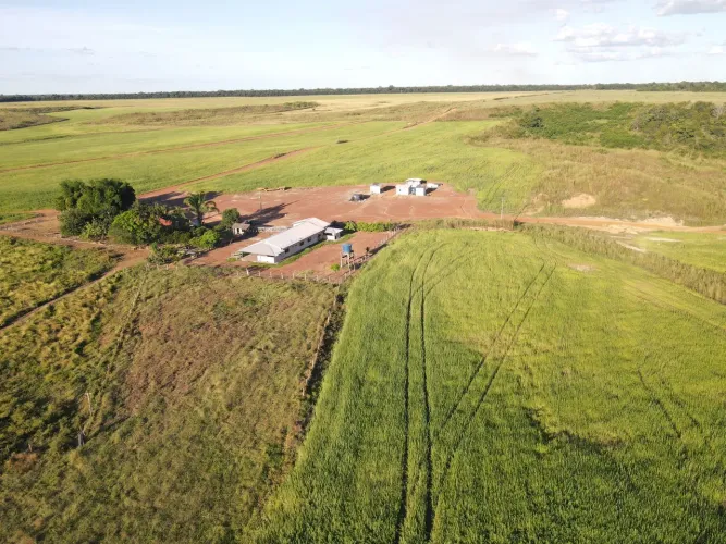 Fazenda 1.757hec nao Xingu MT. 862hec plantando
