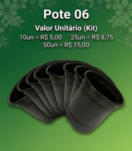 Potes 06