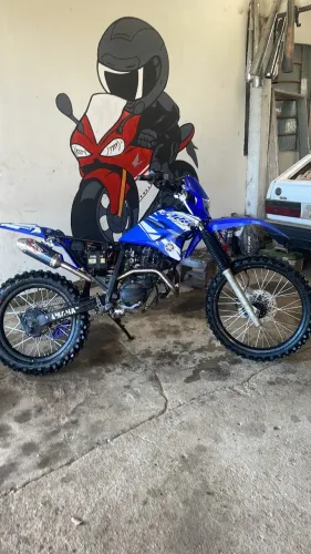Ttr 230