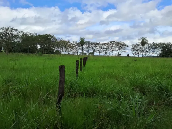 COD500- CHACARA  23,8 HECTARES 9KM DE TERENOS/MS