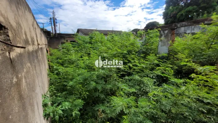 Terreno disponível para venda no bairro Roosevelt, em Uberlândia-MG.