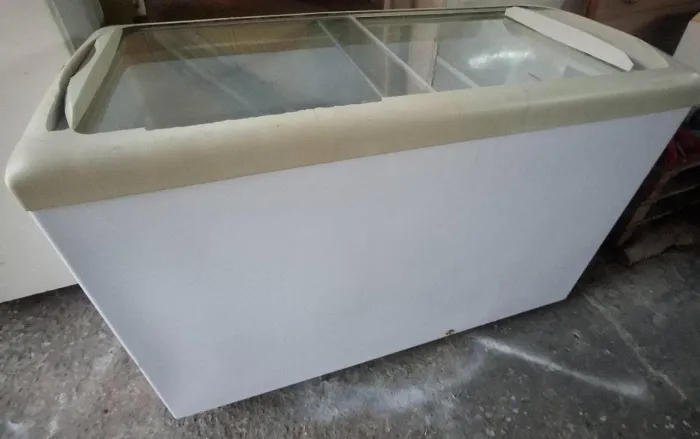 Freezer horizontal