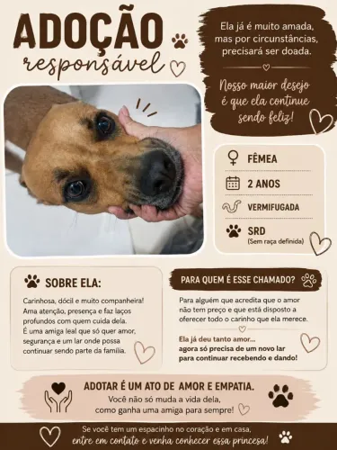 Cadela caramelo SRD
