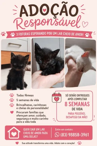 ADOÇÃO RESPONSÁVEL