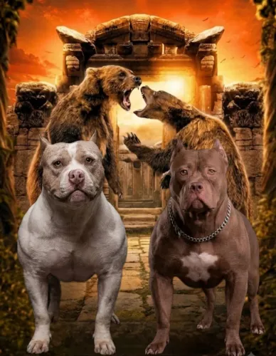 Filhote de Pit Monster