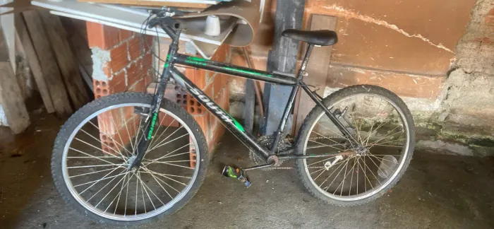 Bicicleta de marcha 