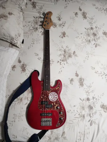 Contrabaixo strinberg fretless
