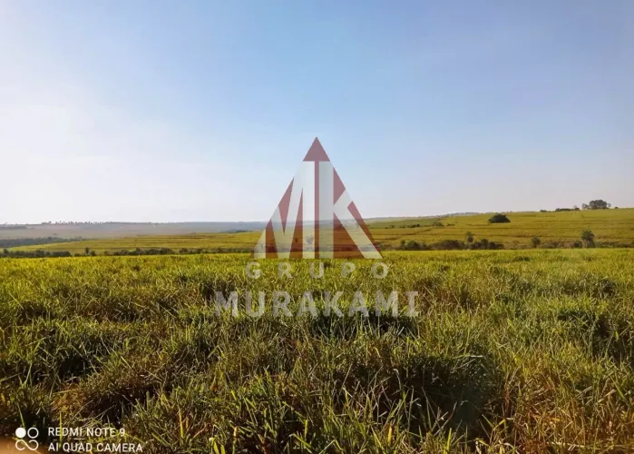 FAZENDA - UMUARAMA - PARANÁ