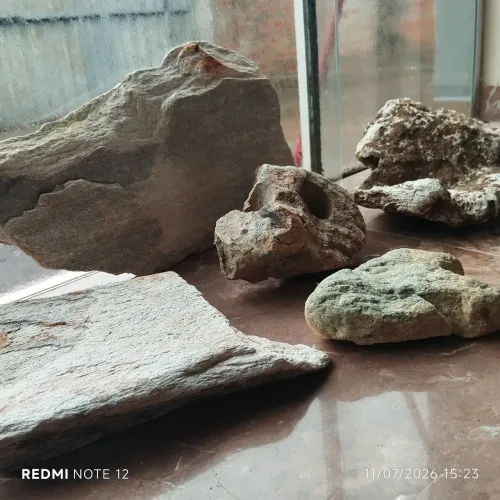 Aquário mais itens de decoração 