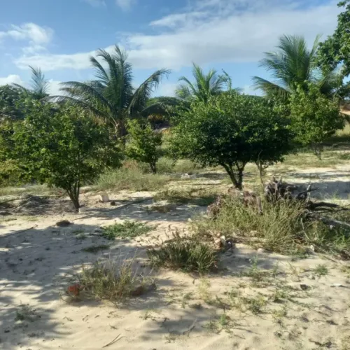 Terreno para vender muito bem localizado