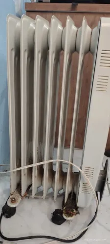 Aquecedor a Óleo Bivolt 