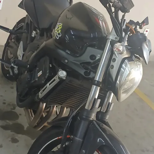 FZ6 N