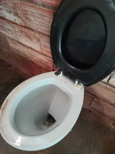 VASO SANITÁRIO