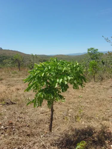 Terreno próximo Serra do Cipó 