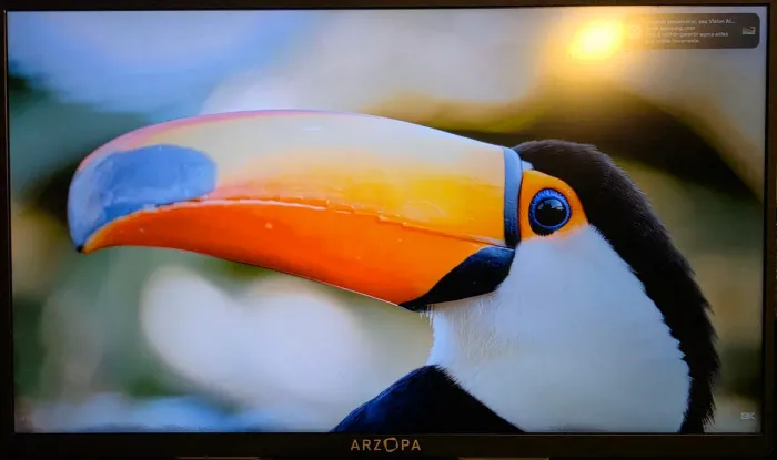 Monitor portátil ARZOPA