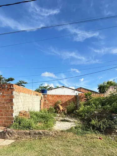 Terreno No Luís Alves ( Sao Cristóvão) 