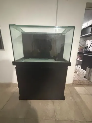 Aquário de 240 litros com vidro de 8 mm completo