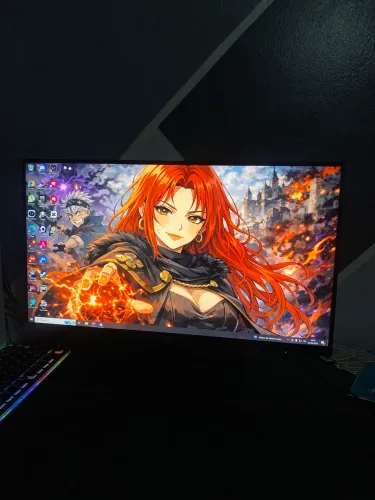 Monitor gamer