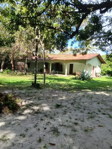 Alugo sitio