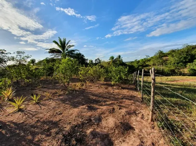 Terreno de uma Tarefa baiana com pomar em Candeias