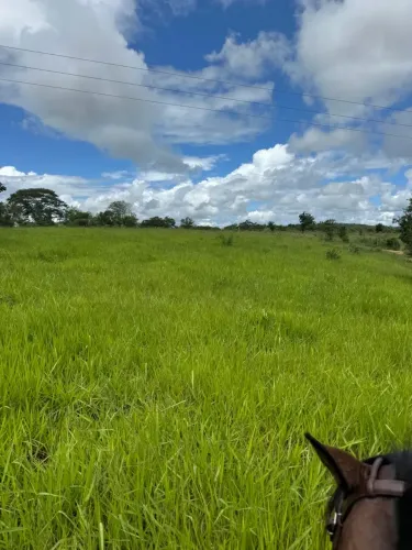 fazenda de 220 tarefas a venda em mundo novo