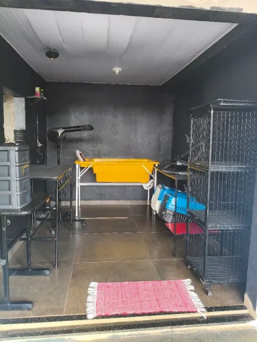 Banho e tosa