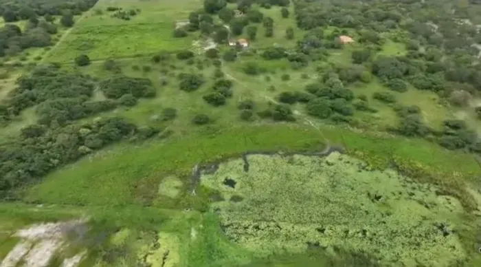 FAZENDA SÃO PEDRO EXCELENTE OPORTUNIDADE DE INVESTIMENTO RURAL