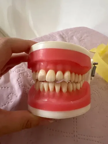 Manequim pronew dentistica