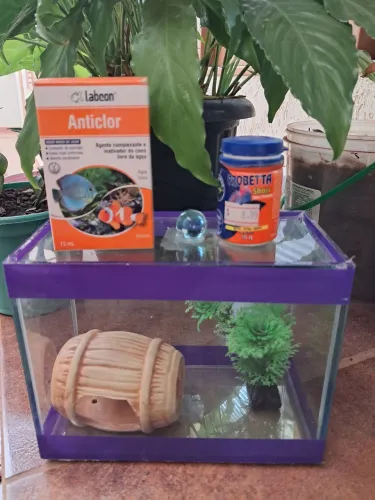 Aquário peixe beta com acessórios
