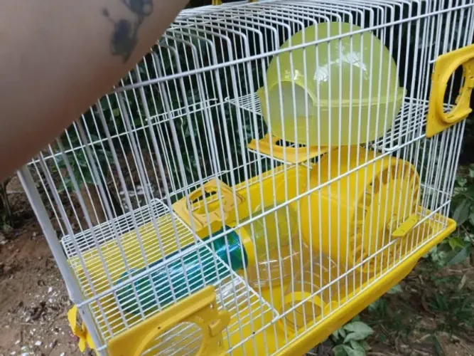 Gaiola Grande para Hamster com Acessórios ? Vendo ou Troco